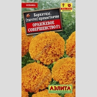 Бархатцы Оранжевое совершенство F1