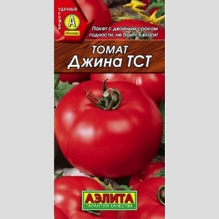 Томат Джина ТСТ