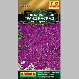 Обриета Гранд Каскад пурпурная