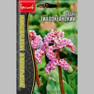 Бадан Тихоокеанский (большой пакет)