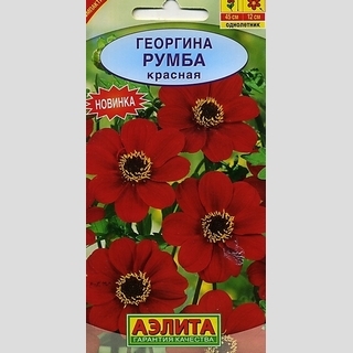 Георгина Румба Красная