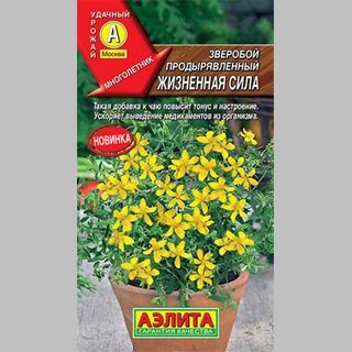 Зверобой Жизненная сила
