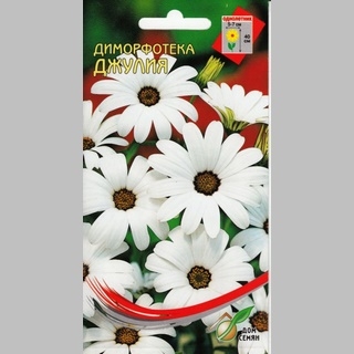 Диморфотека Джулия белая