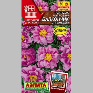 Портулак Балкончик Сиреневый (махровый)