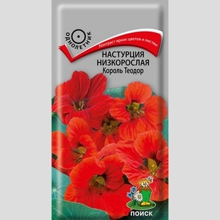 Настурция Король Теодор низкорослая