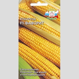 Кукуруза Фаворит F1