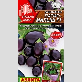 Баклажан Патио-малыш F1