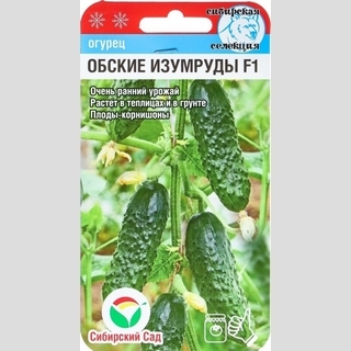 Огурец Обские изумруды F1
