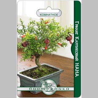 Гранат Нана (карликовый)