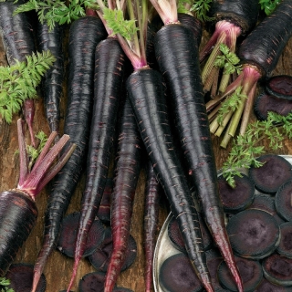 Морковь Майами Шоколадная F1