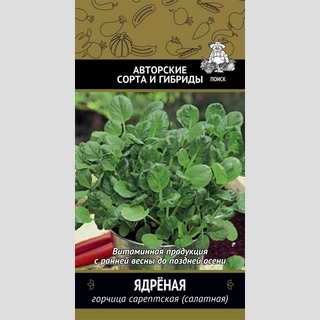 Горчица Ядрёная сарептская (салатная)
