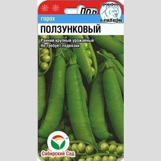 Горох Ползунковый