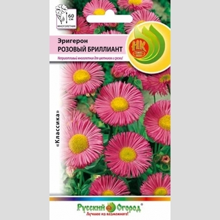 Эригерон Розовый бриллиант