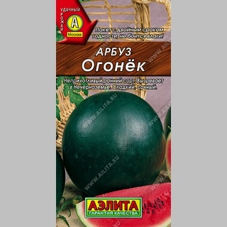 Арбуз Огонек