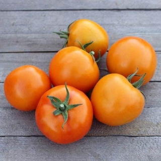 Томат Морковный