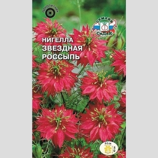 Нигелла Звездная россыпь дамасская