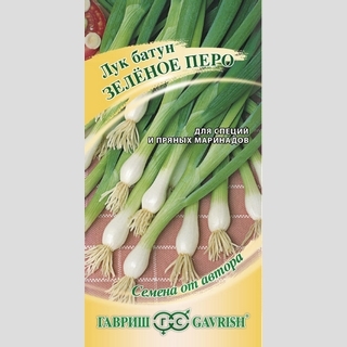 Лук Зеленое перо батун