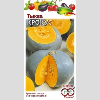 Тыква Крокус