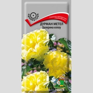 Дурман Балерина Еллоу