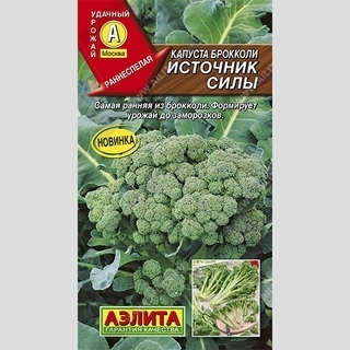 Капуста Источник силы