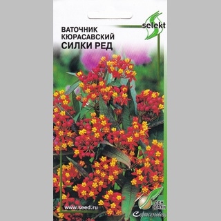 Ваточник Кюрасавский Силки Ред