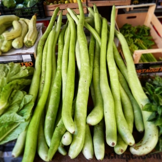 Лагенария Змеевидная