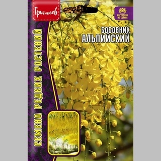 Бобовник Альпийский (большой пакет)