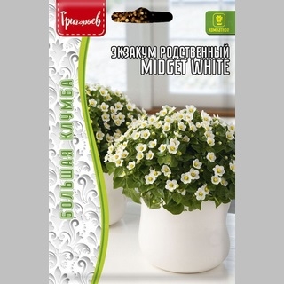 Экзакум Midget White родственный (большой пакет)