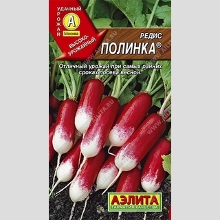 Редис Полинка