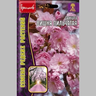 Сакура Вишня мелкопильчатая (большой пакет)