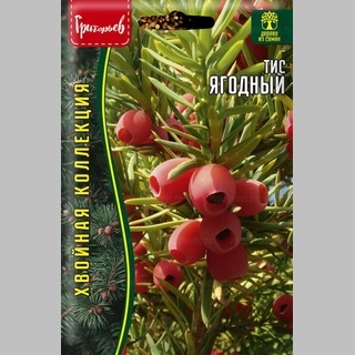 Тис Ягодный (большой пакет)