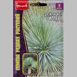 Дазилирион Уиллера (большой пакет)