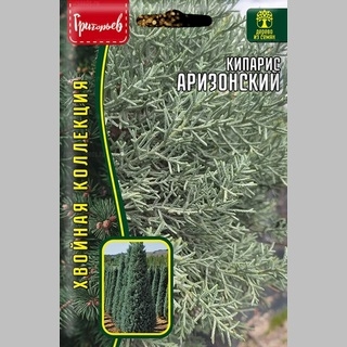 Кипарис Аризонский (большой пакет)