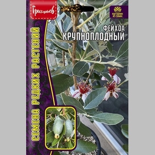 Фейхоа Крупноплодный (большой пакет)