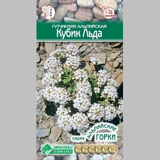 Гутчинзия Кубик льда (альпийская)