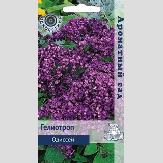Гелиотроп Одиссей