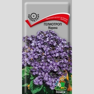 Гелиотроп Марина