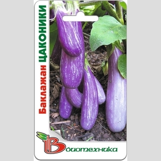 Баклажан Цаконики