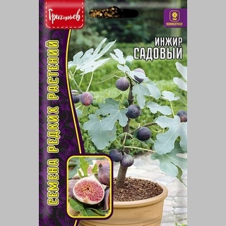 Инжир Садовый (большой пакет)