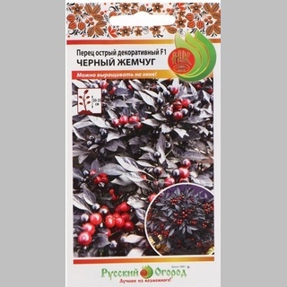 Перец Черный жемчуг F1 декоративный