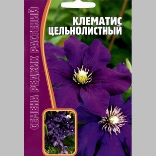 Клематис Цельнолистный (большой пакет)