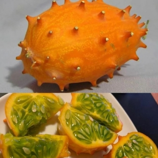 Кивано Африканский огурец