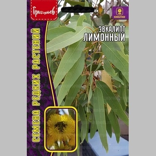 Эвкалипт Лимонный (большой пакет)
