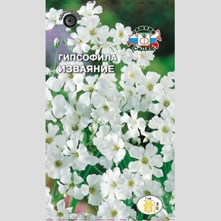 Гипсофила Изваяние изящная белая