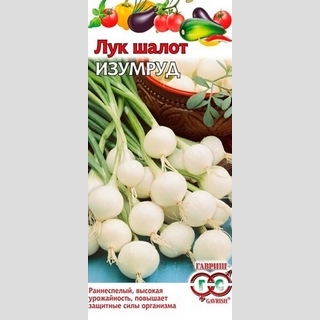 Лук Изумруд шалот