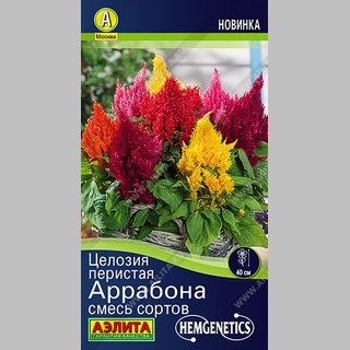 Целозия Аррабона смесь (перистая)