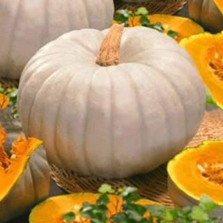 Тыква Сладкая Пышка