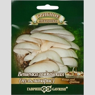 Грибы - Вешенка индийская Пульмонарис на древесной палочке 12шт (большой пакет)