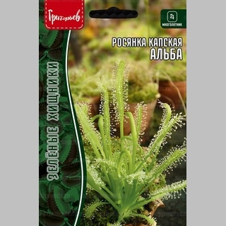 Росянка Альба капская (Хищник) (большой пакет)