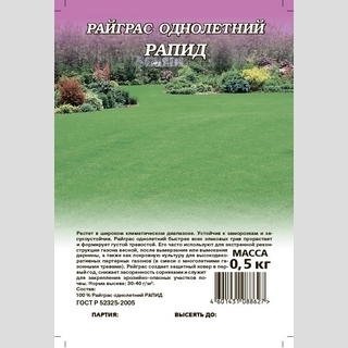 Райграс Рапид однолетний (большой пакет)
